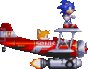 Tails driving a plane with son..