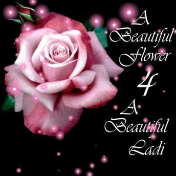 A Beautiful Flower 4 A Beautiful Lady