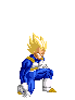 Vegeta rests