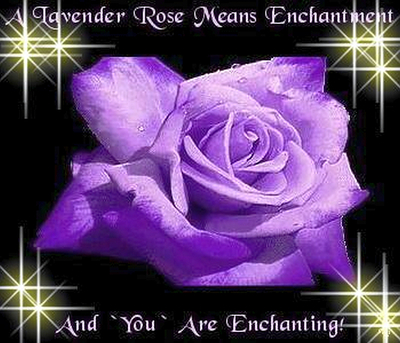 A Lavender Rose Means Enchantment