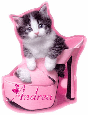 Andrea kitten in pink shoe