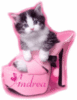Andrea kitten in pink shoe