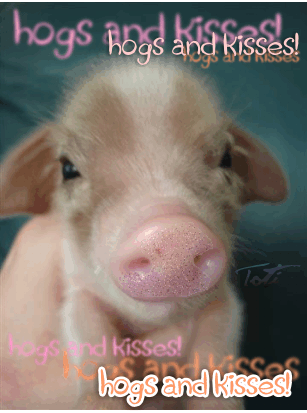 Hogs and kisses
