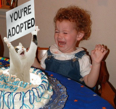 You' Re Adopted