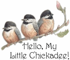 Hello Little Chickadee