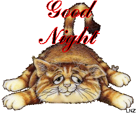Good Night Kitty