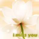 i miss you : white flower