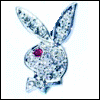 Playboy Bunny Glitter