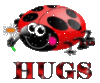 Hugs - Lady Bug