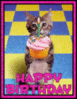 Happy Birthday - Kitty