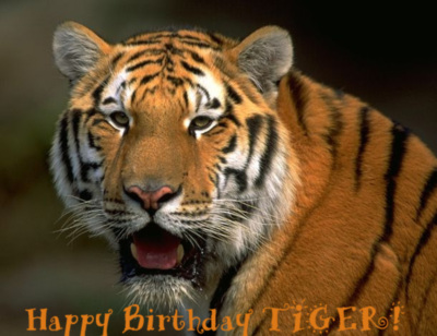 Happy Birthday Tiger