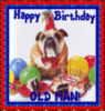 Happy Birthday English Bulldog..