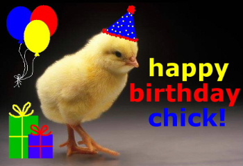 happy birthday chick