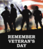 remember veterans day!