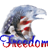 Freedom USA