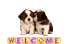 Welcome puppys