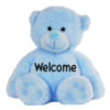 Welcome(blue bear)