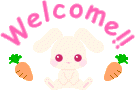 cute bunny welcome