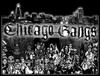 Chicago Gangs