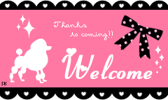 poodle welcome