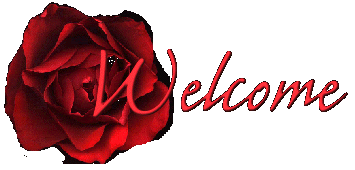 red rose welcome