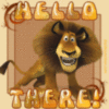 Lion saying hello 