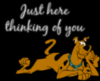  Scooby Thinking Of You