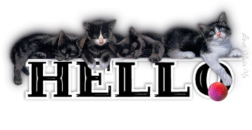 Hello Kitties