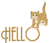 kitty /Hello 