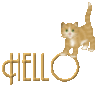 kitty /Hello 
