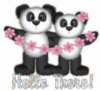 Panda's ~Hello