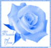 Blue Rose with Thank You