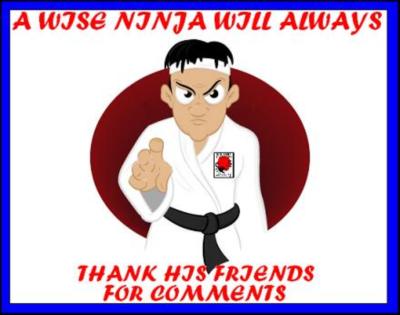 Thank You Ninja