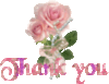 Pink Rose - Thank you