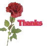 Thank you-Rose
