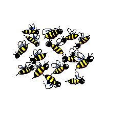 angle bee