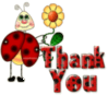 ladybug thank you