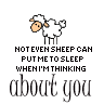 not even sheep can put me to sleep when i'm thinking about you lol