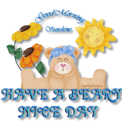 Have a Beary Nice Day bear