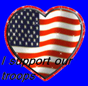 I support our troops