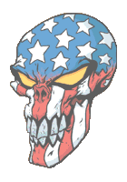 American skull