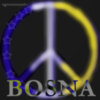 Bosna nasa