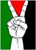 Palestine peace