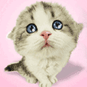 cute cat animation miss you