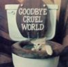 goodbye cruel world