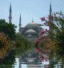 Istanbul Moschea Blu