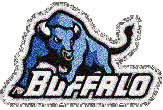 Buffalo_Bears