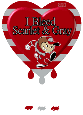 I Bleed Scarlet & Gray