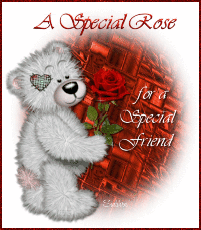 A Special Rose for a Special F..