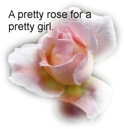 A pretty rose for a pretty gir..